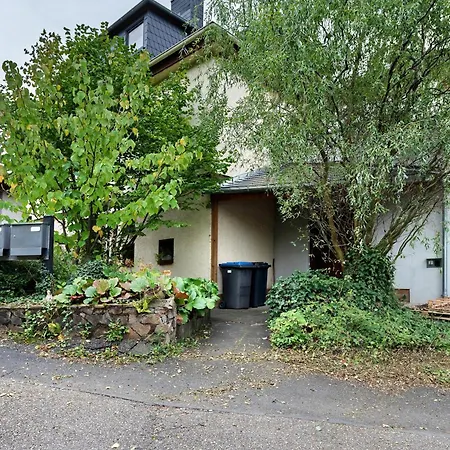 公寓 Fewo Im Rosenberg Mit Dachterasse 兰施泰因